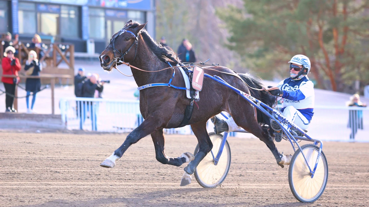 Hannu-Pekka Korpi ohjasti itse Magnitudea koelähdössä ja ensimmäisessä startissa. Sen jälkeen tehtävä on kuulunut Hannu Torviselle.