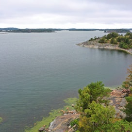 Paraisilla sijaitsevan Gullkronan saaren ympäriltä on suojeltu 4800 hehtaaria merta. Suomeen tarvitaan lisää mertensuojelualueita. 