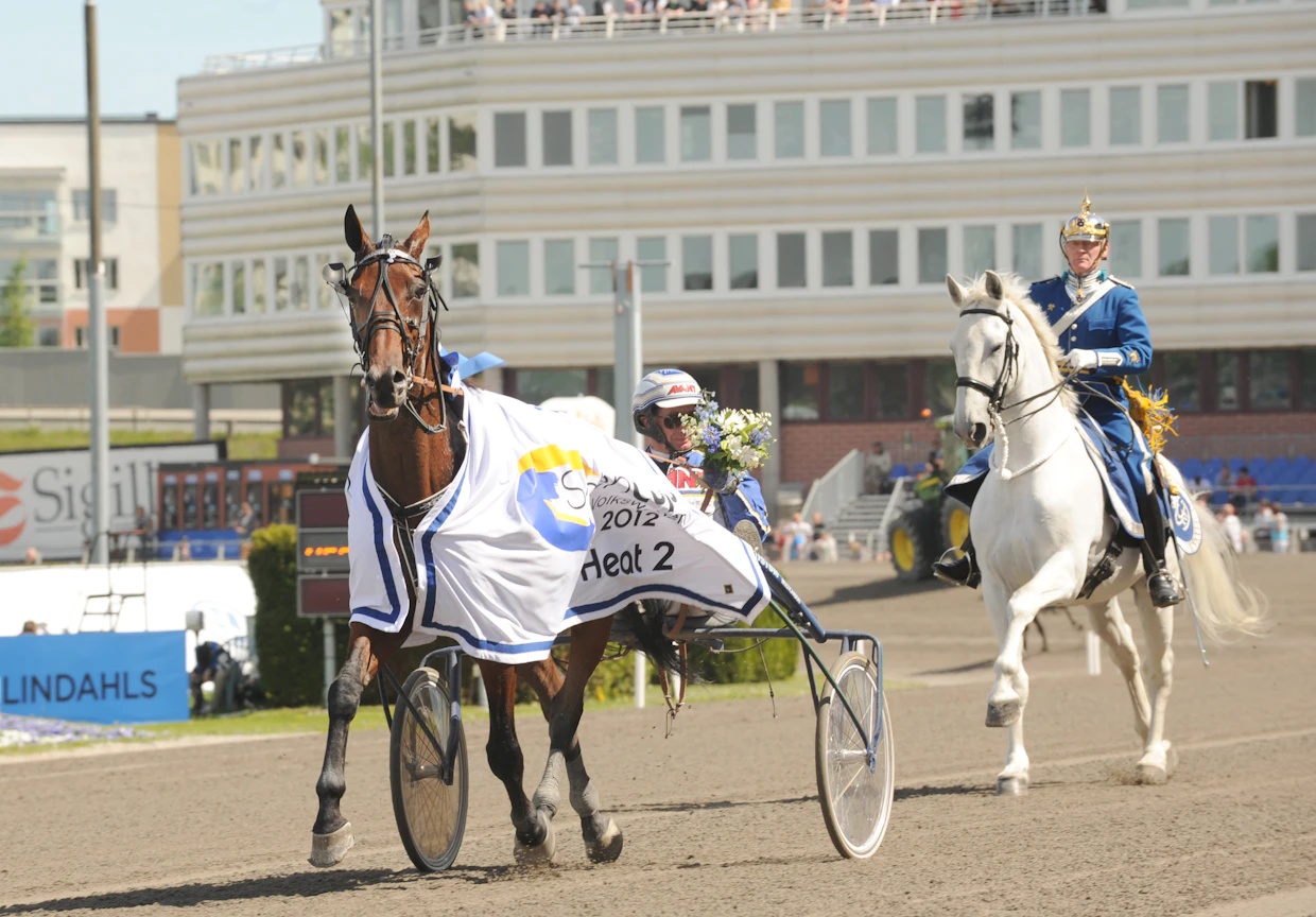 Caddie Comet oli Emilian passihevosena Timo Nurmoksen luona. Ruunan kanssa Emilia osallistui kahdesti Kymi GP -kisaan. Kuvassa Caddie Comet Jorma Kontion kanssa Sweden Cup -karsintavoiton jälkeen vuonna 2012.