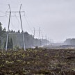 Kirjoittaja ihmettelee maata ja metsää tuhlailevaa voimalinjarakentamista. Kuvituskuva.