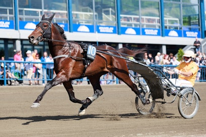 Diamond Truppon ensimmäistä Suomen starttia odotellaan mielenkiinnolla. Mikäli kaikki menee valmistautumisessa nappiin, saattaa startti olla jo lähellä. 