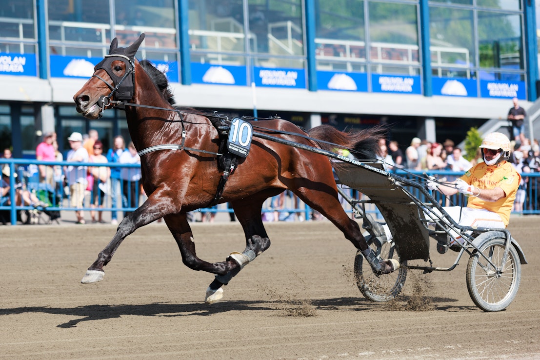 Diamond Truppon ensimmäistä Suomen starttia odotellaan mielenkiinnolla. Mikäli kaikki menee valmistautumisessa nappiin, saattaa startti olla jo lähellä. 
