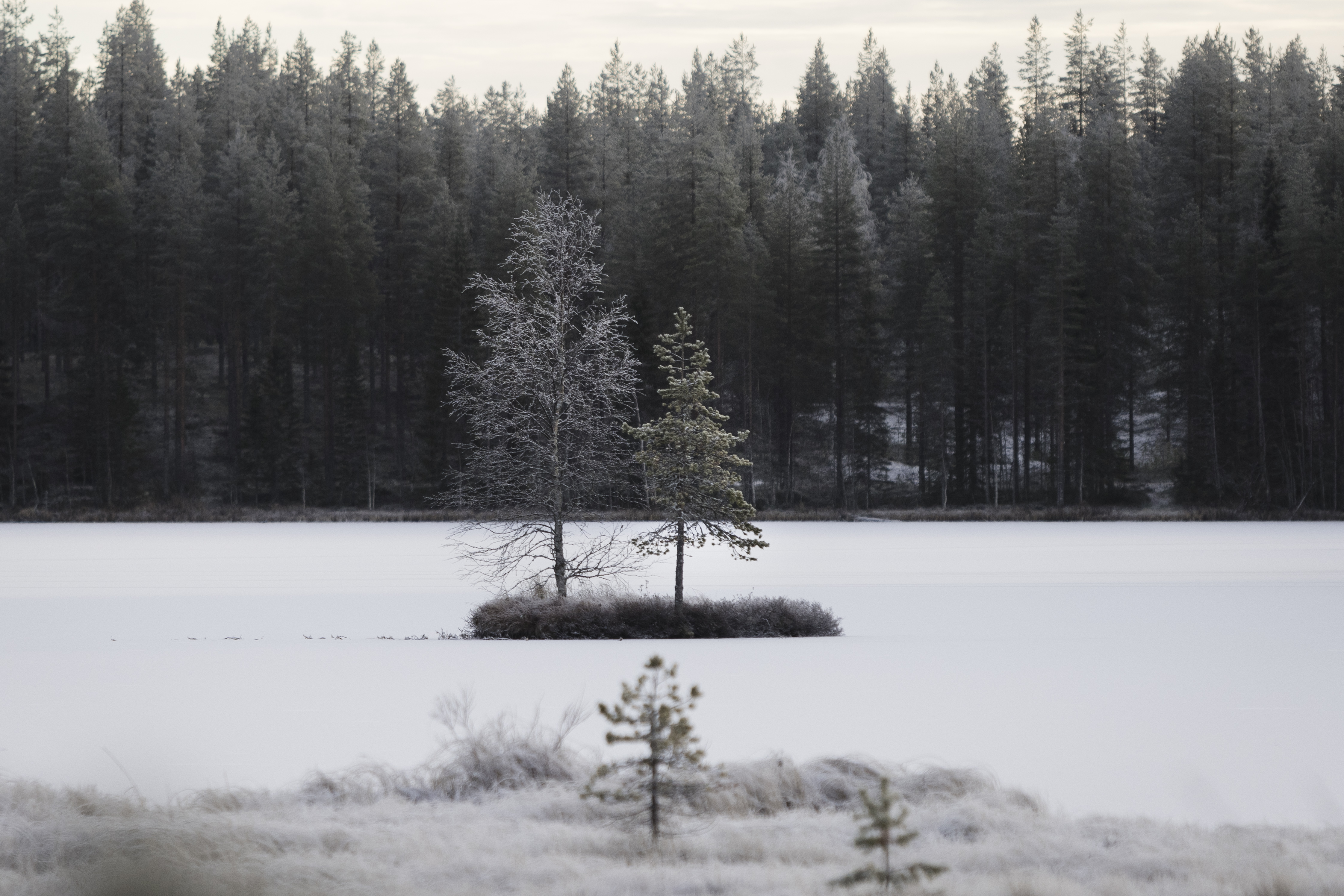 Itsenäisyyspäivän tienoilla pakkanen kiristyy ja luvassa on lumisateita.