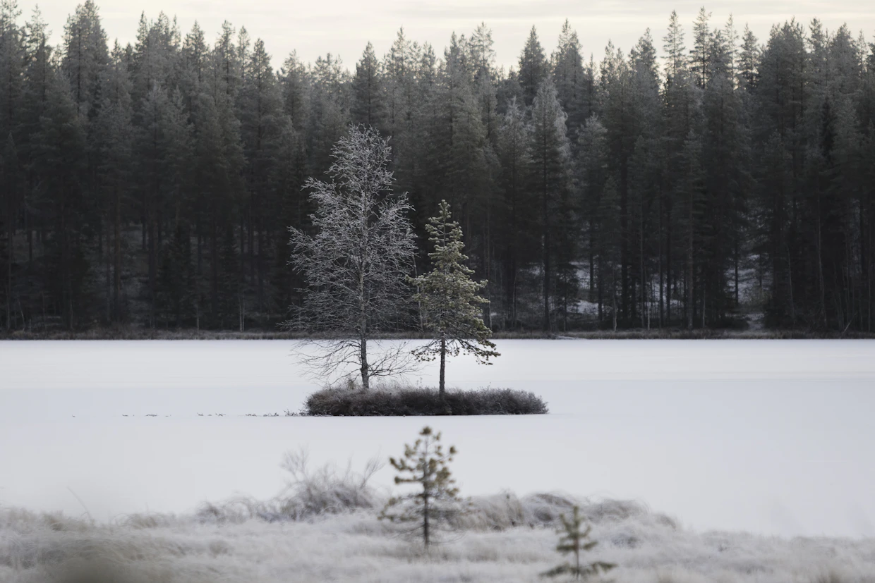 Pudasjärven Kumpulanlampi oli ohuen jään ja lumikerroksen peittämä 16.11.