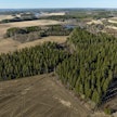 Pino-palveluun kootaan metsänhoitoyhdistysten välittämät leimikot ostajien nähtäville. Tekoälyllä tulee olemaan tässä rooli.