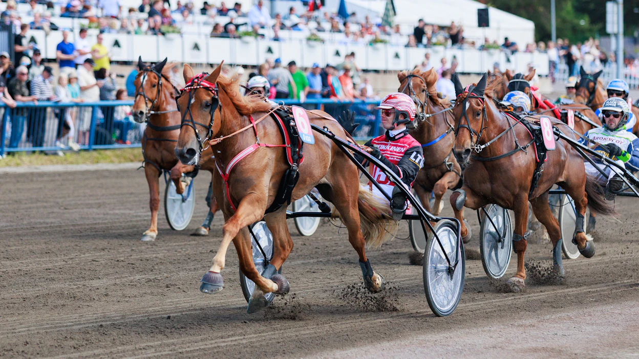 Santtu Raitalan omistama ja valmentama Jockas Rita on voittanut uransa 22 startista 21. Voittosumma on 53 200 euroa ja ennätykset 26.9ake ja 28,3ke.