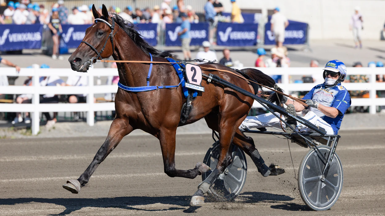 Jarmo Saarelan ajama Steady And Quick on keskiviikon päätöskohteen varmahaku.