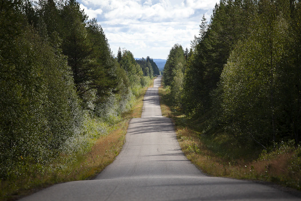 Ilmoitus hirvieläinkolarista onnistuu helpoiten soittamalla kolaripaikalta 112 Suomi -mobiilisovelluksella.