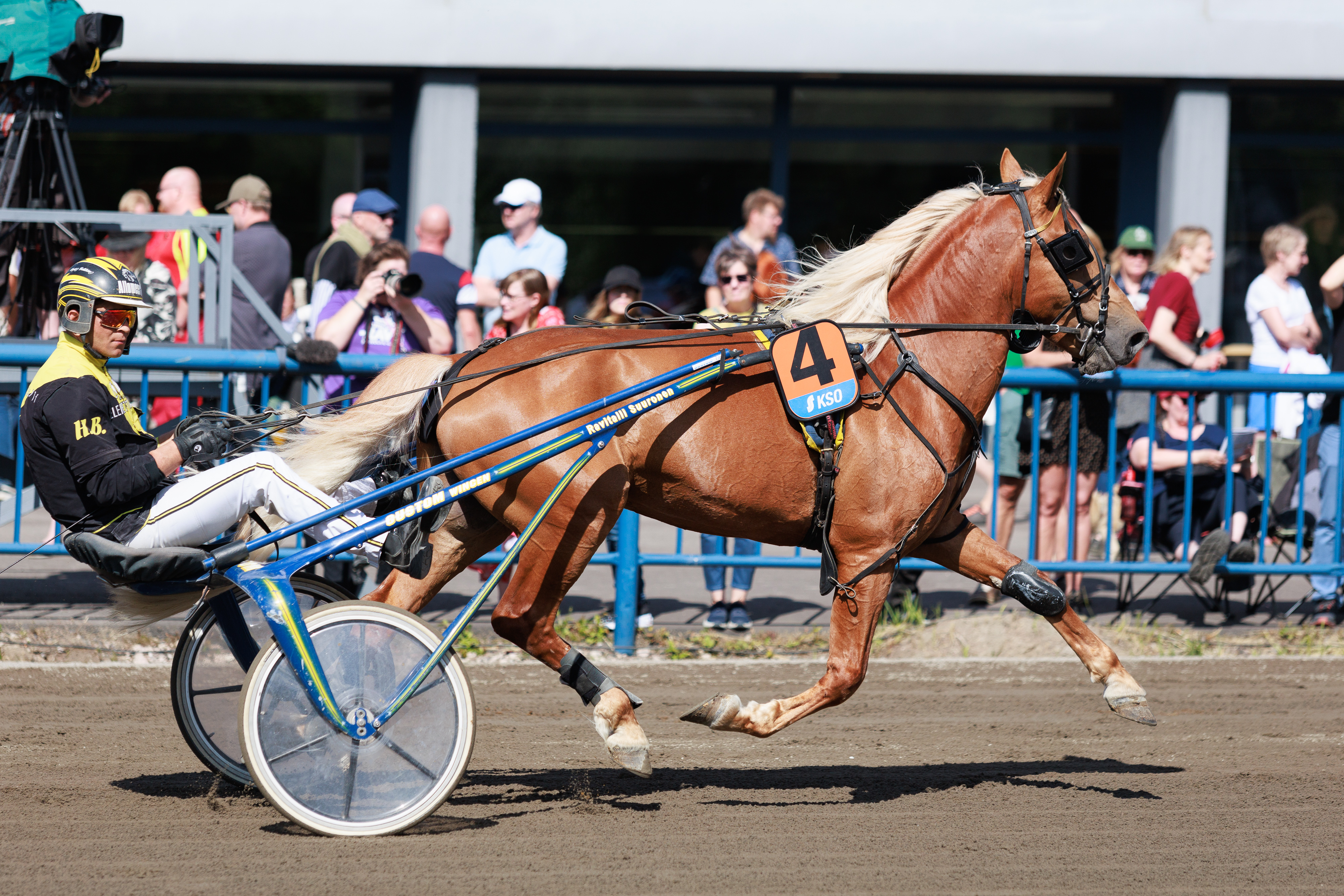 Viime viikon uutisiin kuului, että Säihkeen Sähinä siirtyy kilpahevosesta siitosoriksi. Rattailla on kuvassa Henri Bollström.