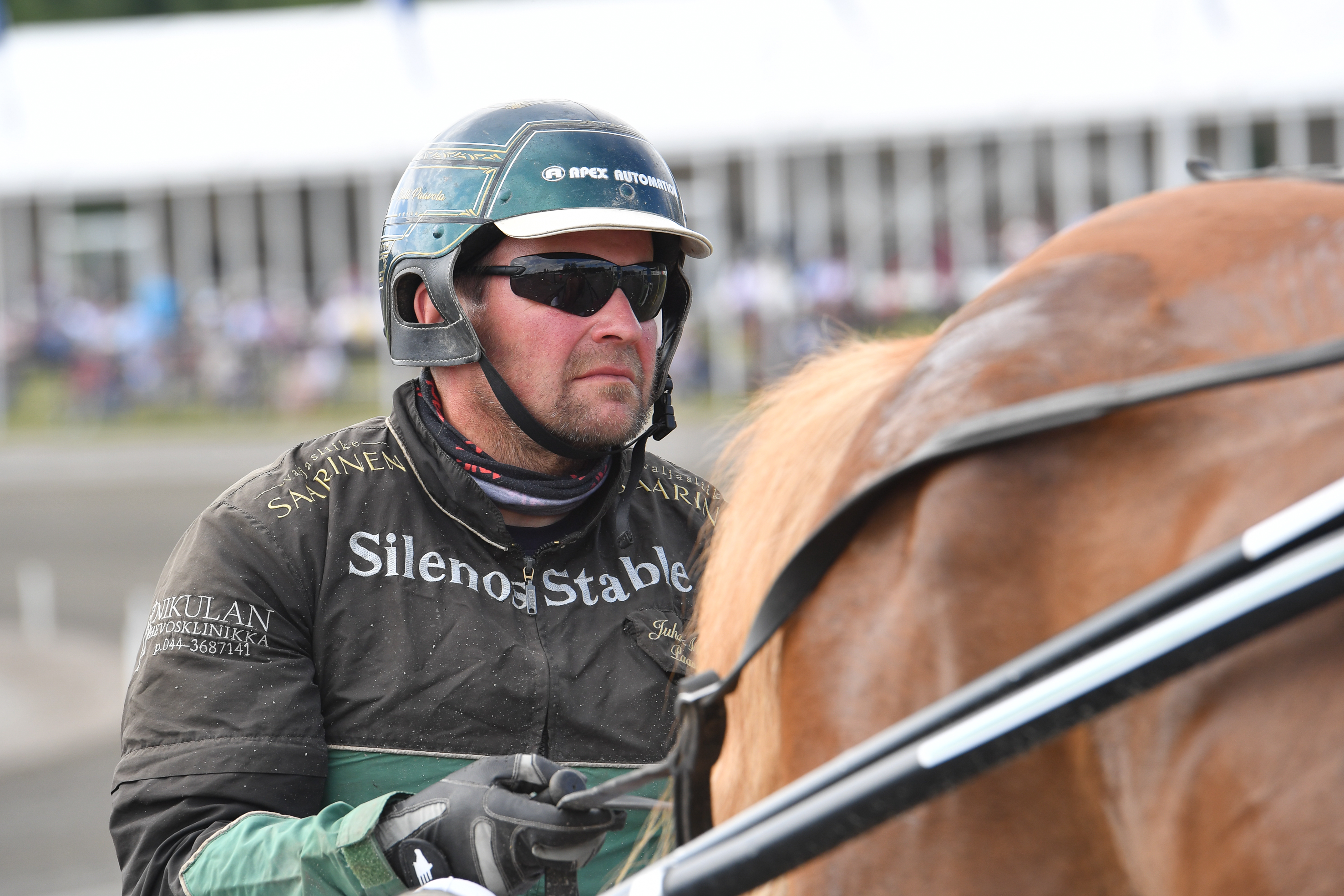 Juha-Matti Paavolalla on valmennuslistalla kuusitoista hevosta. Joukossa on paljon nuoria hevosia ja varsoja.