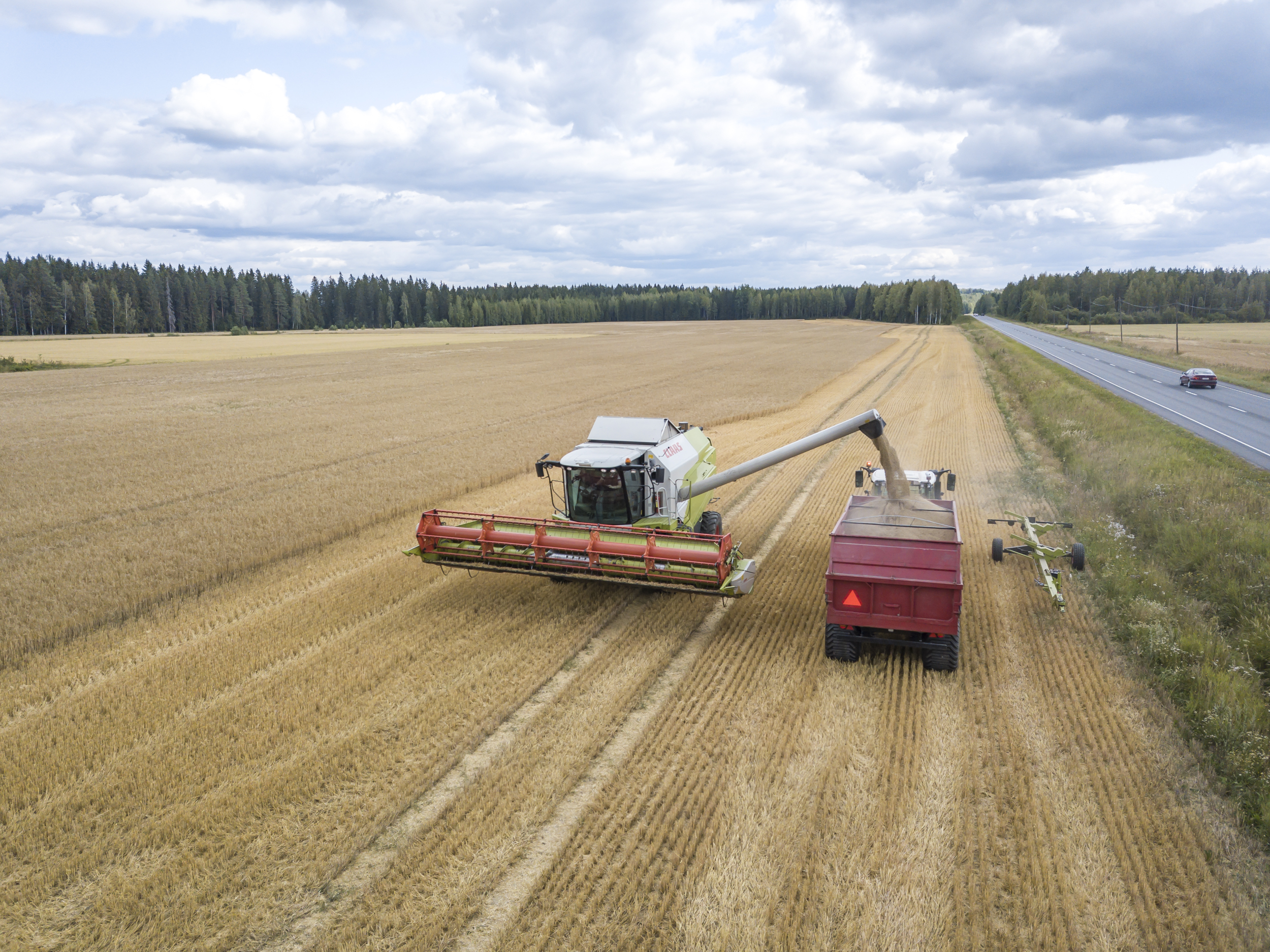 Ruotsissa meneillään olevan sadonkorjuukausi näyttää sadon osalta hyvältä, kuvituskuvassa puidaan ohraa Suomessa.