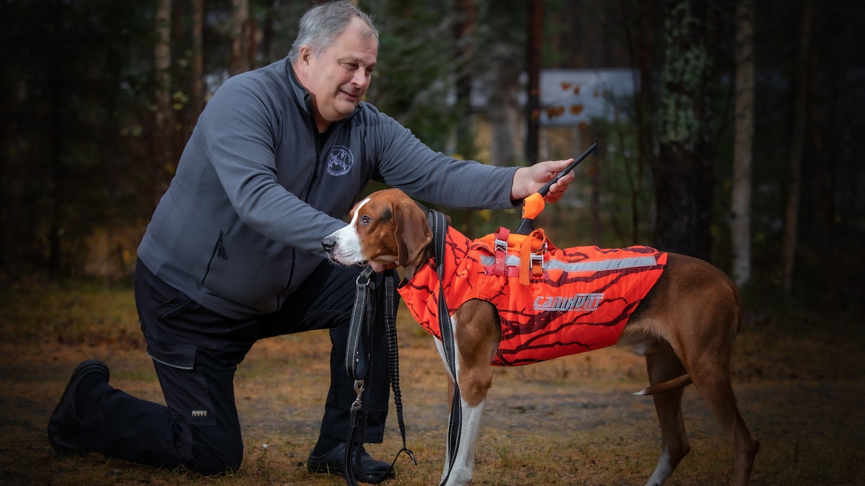 Antti Kuivalaisen suomenajokoira Noppa hoitaa mannekiinin osansa rauhallisesti, kun isäntä esittelee miten liivikamerassa sekä kamera että antenni on tehty joustaviksi. Ne antavat myöten, jos koira kulkee jossain ryteikössä tai puun alta.