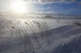 Pakkanen kiristyy jälleen tällä viikolla.