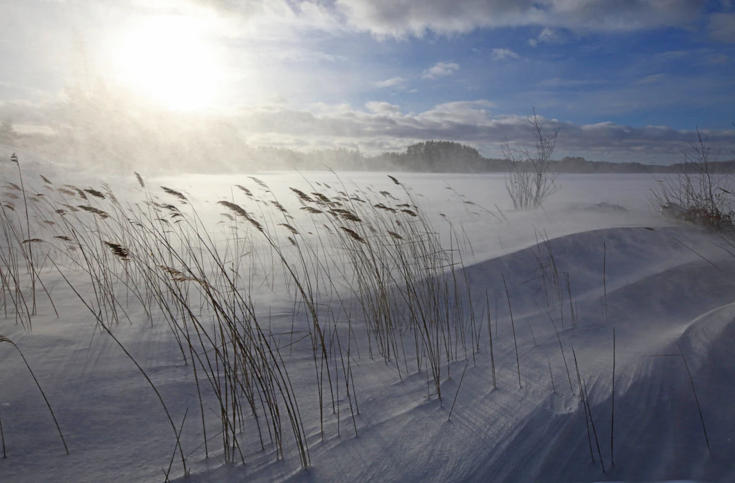 Pakkanen kiristyy jälleen tällä viikolla.