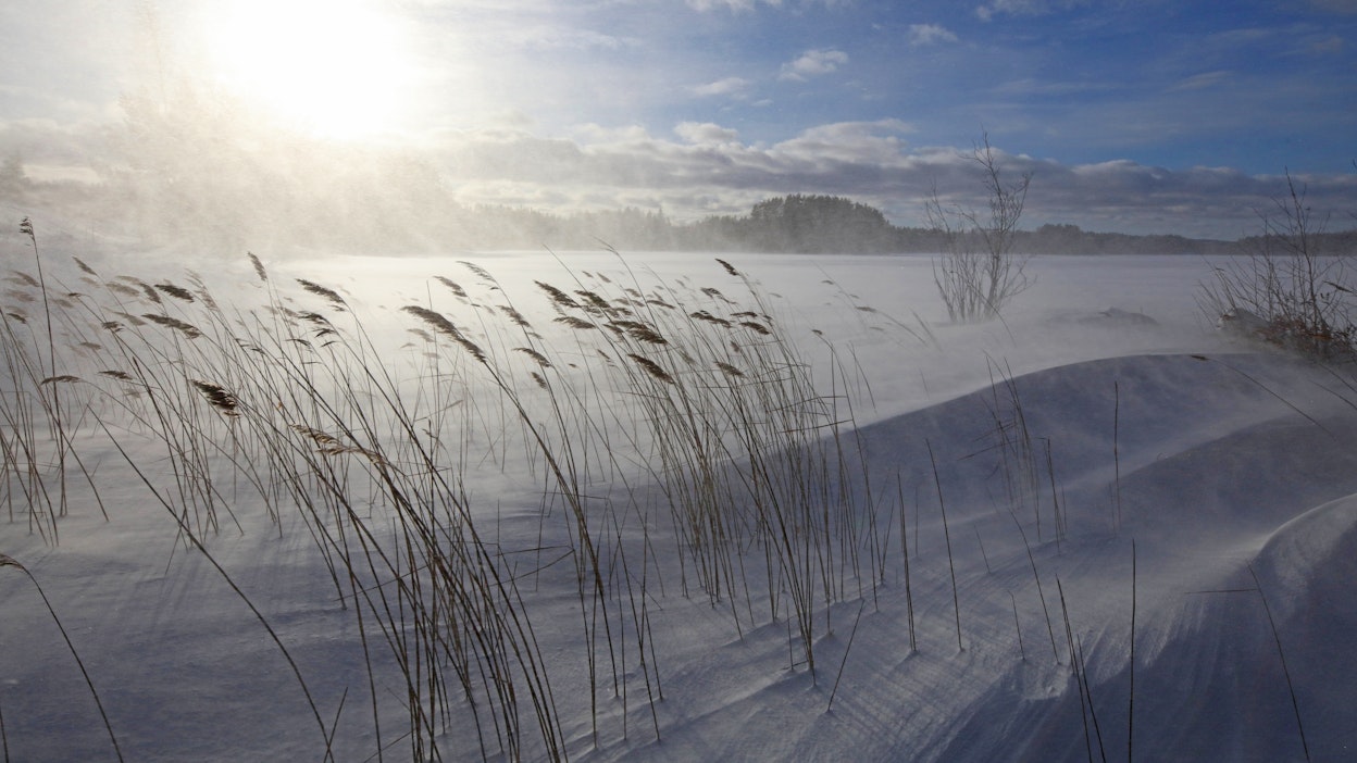 Pakkanen kiristyy jälleen tällä viikolla.
