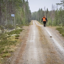 Hirvijahdin tapahtumia päädyttiin setvimään käräjille. Kuvituskuva, kuva ei liity tapaukseen.