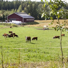 EU:n komissio on etääntynyt siitä, miten maaseutu saadaan pidettyä elinvoimaisena, kirjoittaa MTK-Etelä-Savon toiminnanjohtaja Vesa Kallio.