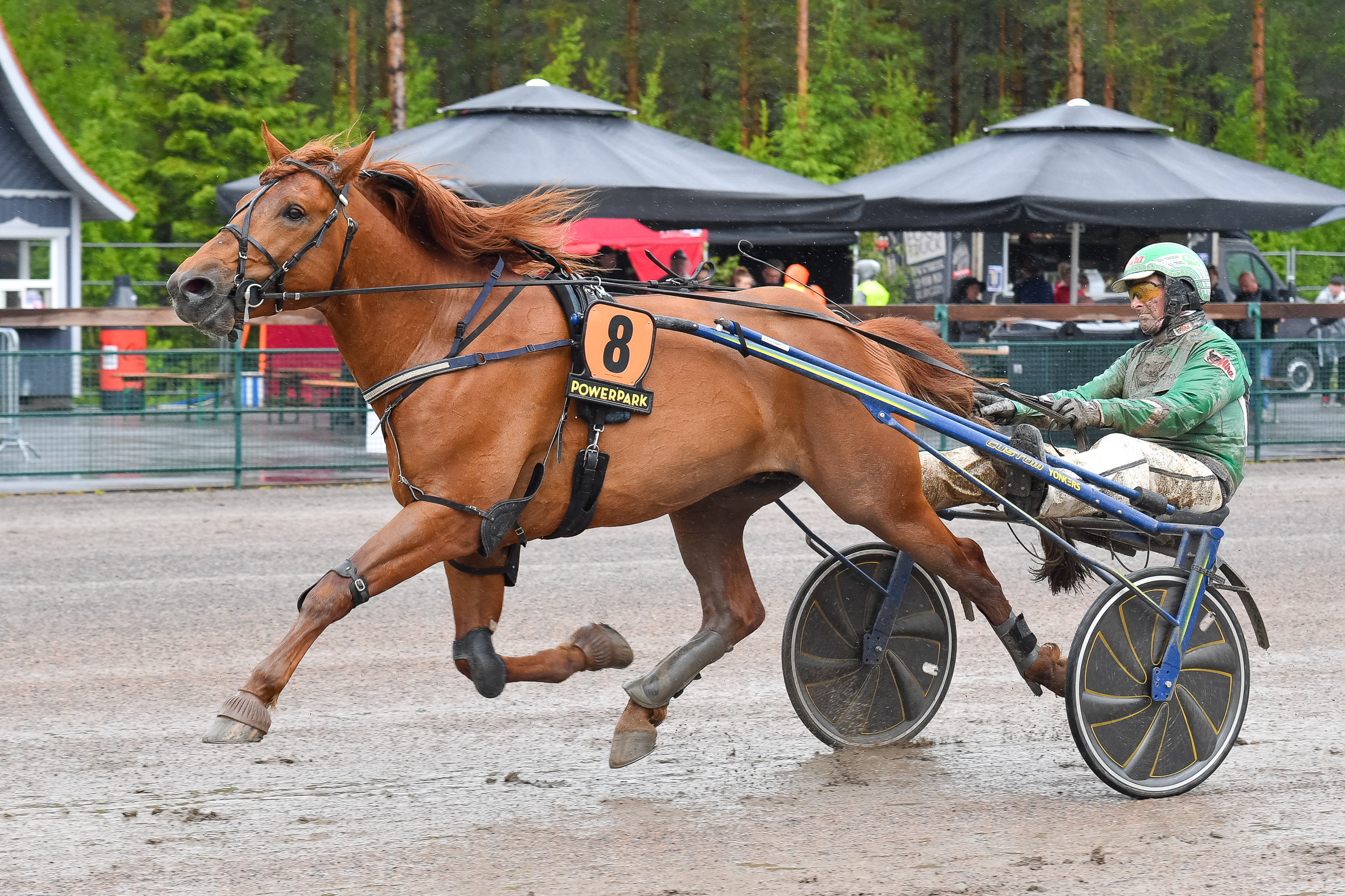 V.G. Voitto on tuore Nordic Kingin sankari.