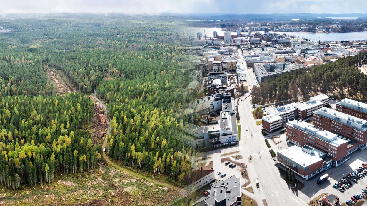 Luontopaneelin toimintaa leimaa vahva kaksinaismoralismi, kirjoittaja toteaa.