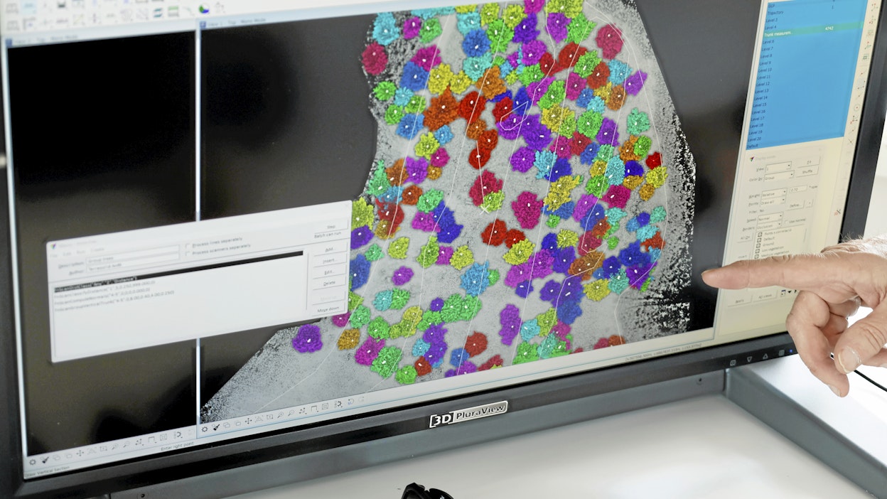 Tekoälyn avulla muun muassa analysoidaan metsätietoa.