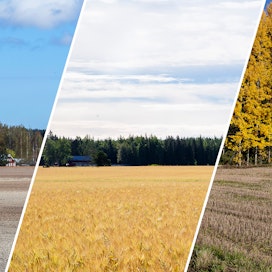Suomessa kasvukausi kestää pisimpään Ahvenanmaalla ja Lounais-Suomessa.