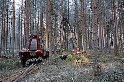 Metsän antia voi jalostaa kuutioiden ja tonnien lisäksi mikrobiuutteeksi.