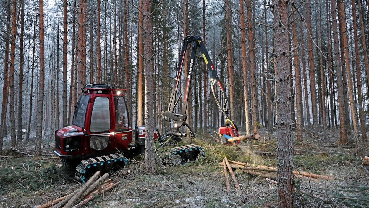 Metsän antia voi jalostaa kuutioiden ja tonnien lisäksi mikrobiuutteeksi.