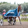 Jo Derbyn karsinnoissa loistanut Ancio saa ravivetovihjeiden ykkössuosikin viitan.