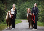 Henna (vas.) ja Moona Honkonen opettavat ponien kanssa tarvittavia taitoja pikkusiskoilleen Alinalle ja Nannalle. Henna osallistuu viikonloppuna ponikuningatarkilpailuun valmentamallaan Ekslätts Yatzylla, ja Moona kuninkuuskilpailuun valmentamallaan Jokimäen Jalmarilla.