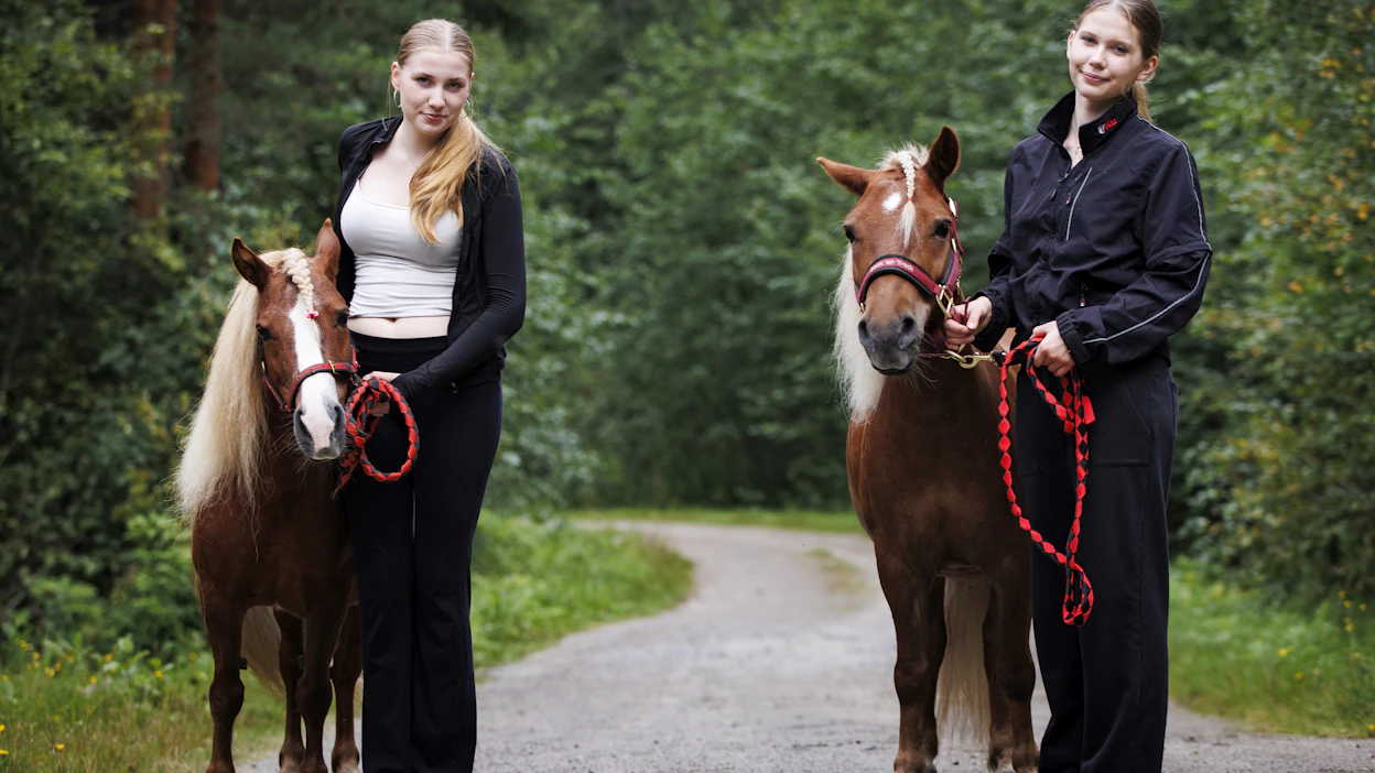 Henna (vas.) ja Moona Honkonen opettavat ponien kanssa tarvittavia taitoja pikkusiskoilleen Alinalle ja Nannalle. Henna osallistuu viikonloppuna ponikuningatarkilpailuun valmentamallaan Ekslätts Yatzylla, ja Moona kuninkuuskilpailuun valmentamallaan Jokimäen Jalmarilla.
