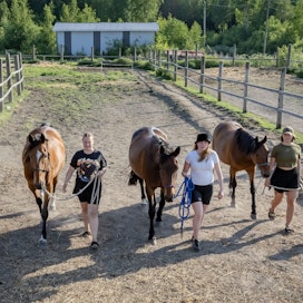 Virpi Väisänen, Iisa Jussila ja Annasofia Jussila haaveilevat hevosineen omasta paikasta. Yhteistä kotia ja hevospihattoa he ovat etsineet jo tovin, toistaiseksi tuloksetta.