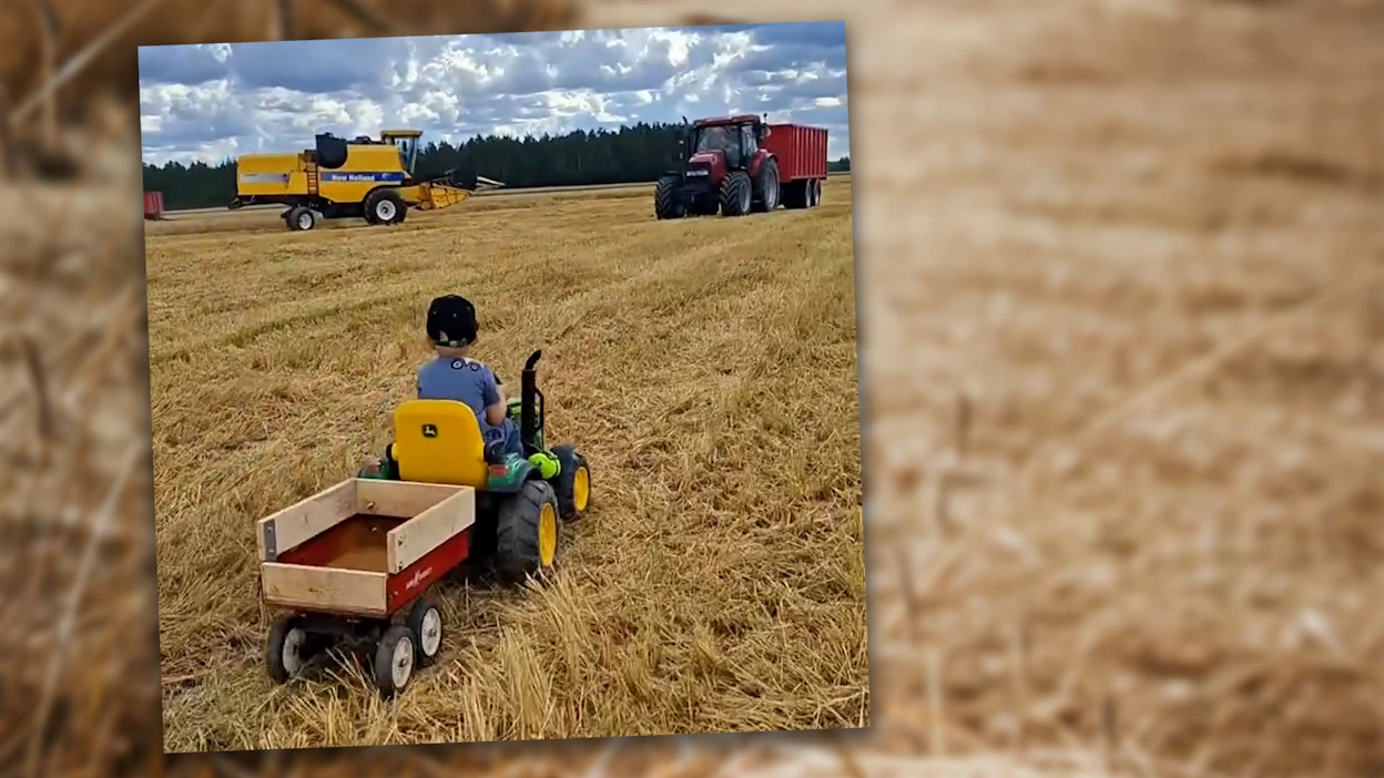 Eetu Konttas sai työvälineet kuntoon ja lähti hakemaan viljalastia puimurilta.