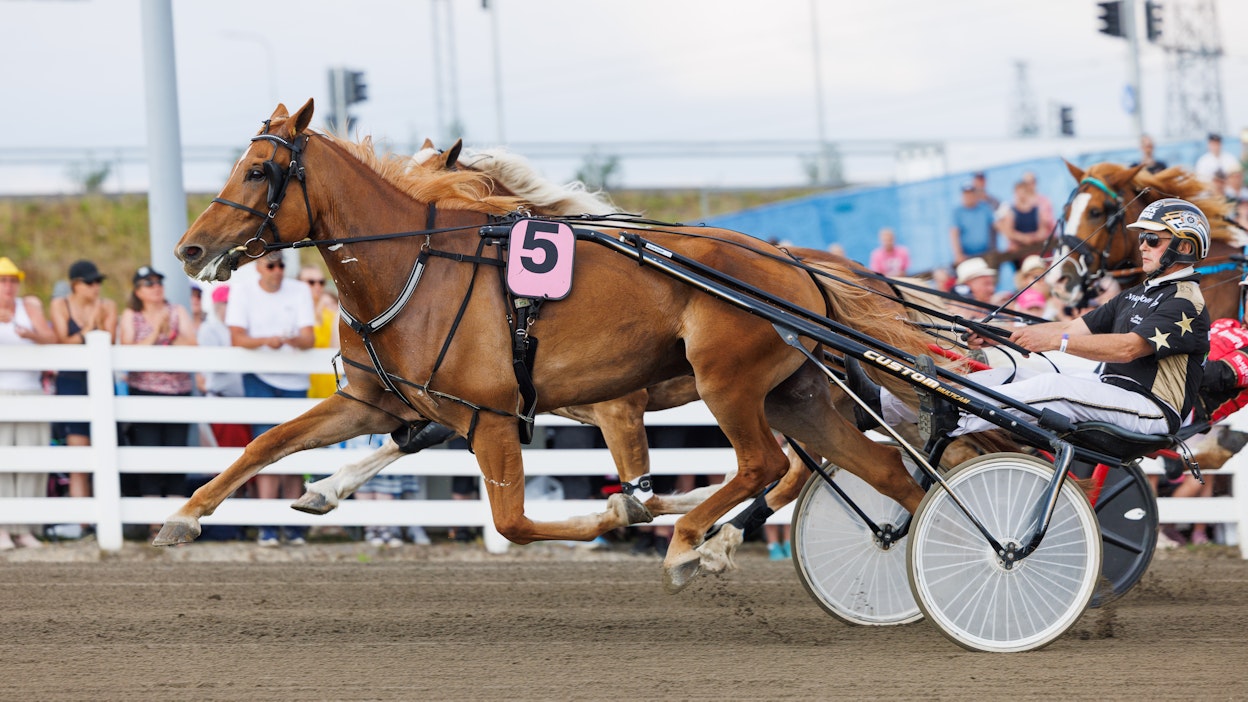 Lumi-Oosa sijoittui viime elokuussa Oulun kuningatarkilpailussa toiseksi Jockas Ritan jälkeen.