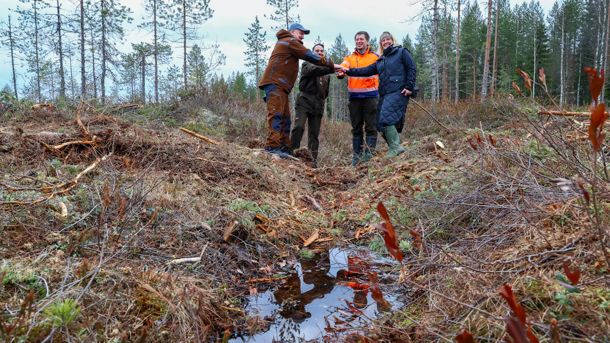Petri Purmonen, Petri Vähä, Panu Kukkonen ja Heli Siitari ennallistettavalla Kuikkasuolla kuvattuna.