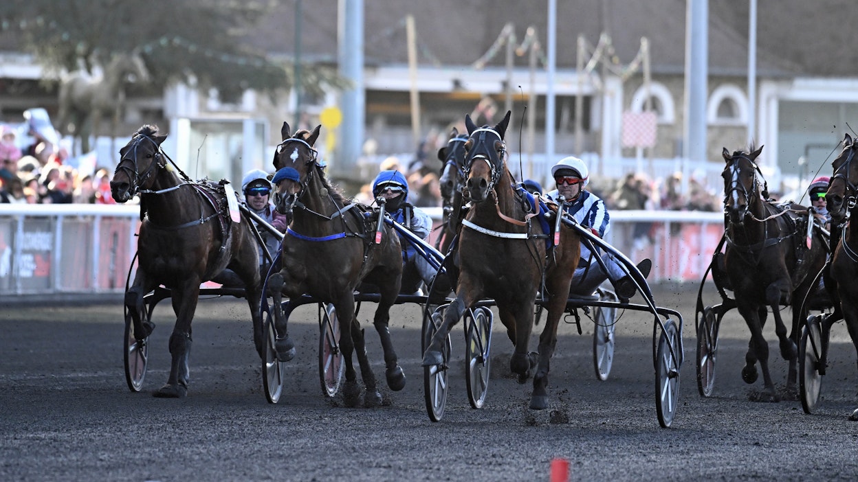 Horsy Dream keskellä, Decoloration ja Hohneck rynnivvät Prix de Belgiquen loppusuoraa pyhänä kohti Prix d’Ameriqueta 2023.