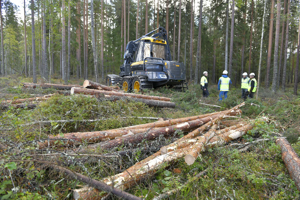 Metsä Groupin Rauman sahalle alettiin korjata puuta syyskuun puolivälissä. Yhtiö haluaa kasvattaa myös hankintapuun määrää.