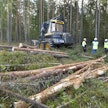 Metsä Group käynnisti Rauman uuden sahan puunkorjuun tänään Eurassa.