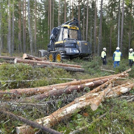 Metsä Groupin Rauman sahalle alettiin korjata puuta syyskuun puolivälissä. Yhtiö haluaa kasvattaa myös hankintapuun määrää.