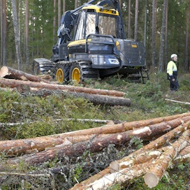 Suomella on asiantuntijoiden mukaan paljon annettavaa Ukrainan vasta kehittyvälle metsäelinkeinolle.
