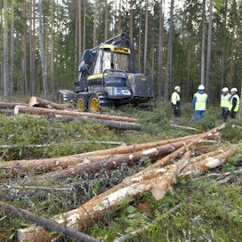 Metsä Group maksaa lisäbonusta monimuotoisuutta lisäävillä hakkuukohteilla.