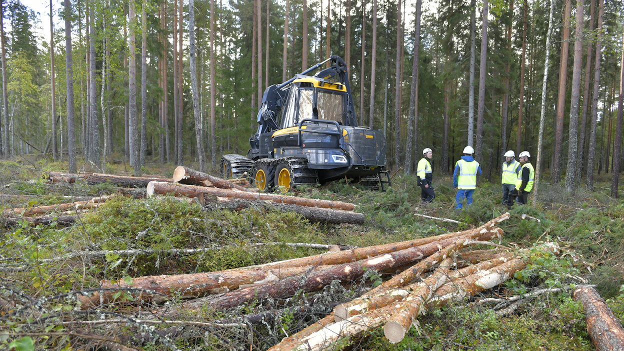 Suomella on asiantuntijoiden mukaan paljon annettavaa Ukrainan vasta kehittyvälle metsäelinkeinolle.
