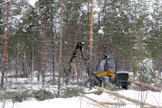 Turvemailla ylispuiden poiston hiilipäästöt jäävät merkittävästi vähäisemmäksi kuin avohakkuussa.