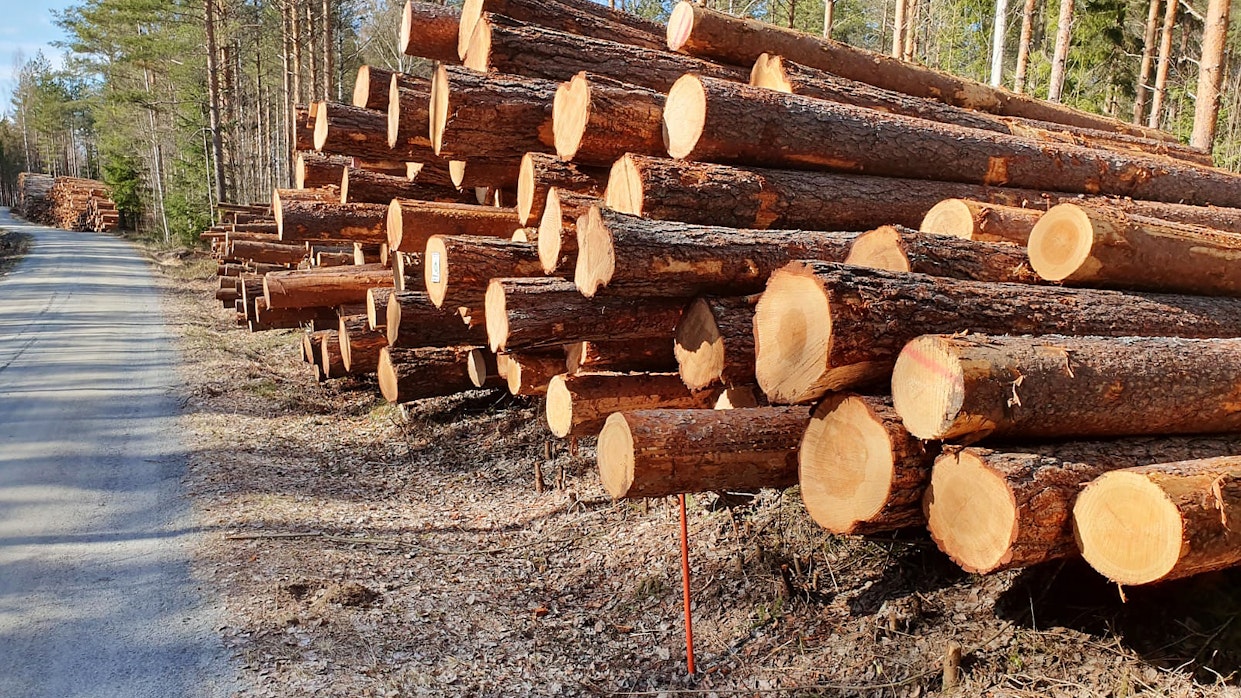 Metsäteollisuus ry:n jäsenyritykset ovat ostaneet alkuvuonna puuta yksityismetsistä 27 prosenttia vähemmän kuin viime vuonna tähän aikaan.