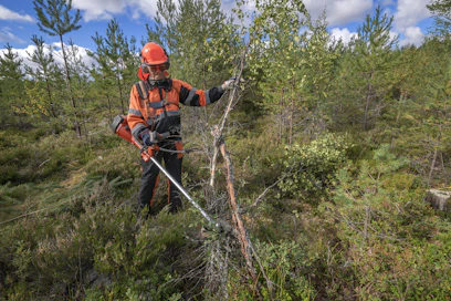 Hallitusneuvotteluissa on ollut esillä noin 30 miljoonan euron leikkaus kemeratukeen ja metsäkeskuksen rahoitukseen.