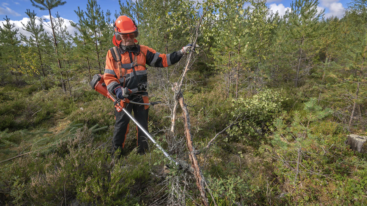 Hallitusneuvotteluissa on ollut esillä noin 30 miljoonan euron leikkaus kemeratukeen ja metsäkeskuksen rahoitukseen.