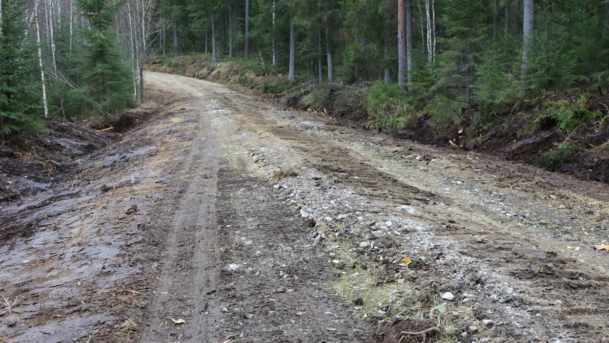 Metsäkeskuksen mukaan rahat eivät riitä kaikkiin metsäteiden rahoitushakemuksiin.