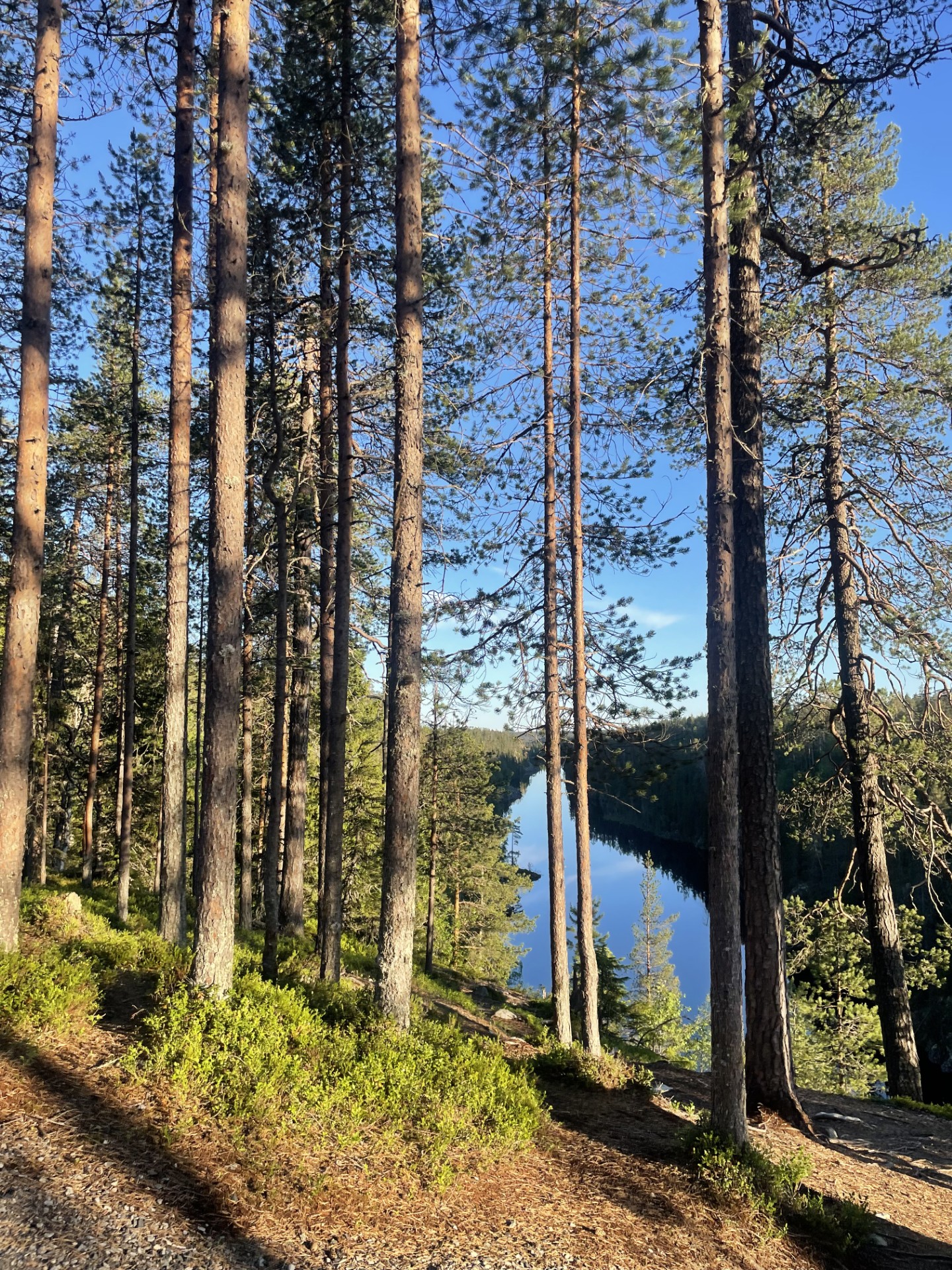Julma-Ölkky Hossan kansallispuistossa.