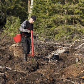 Janne Jakkulaa alkoi kiinnostaa metsäalan työt, kun hän osti isältään metsätilan.