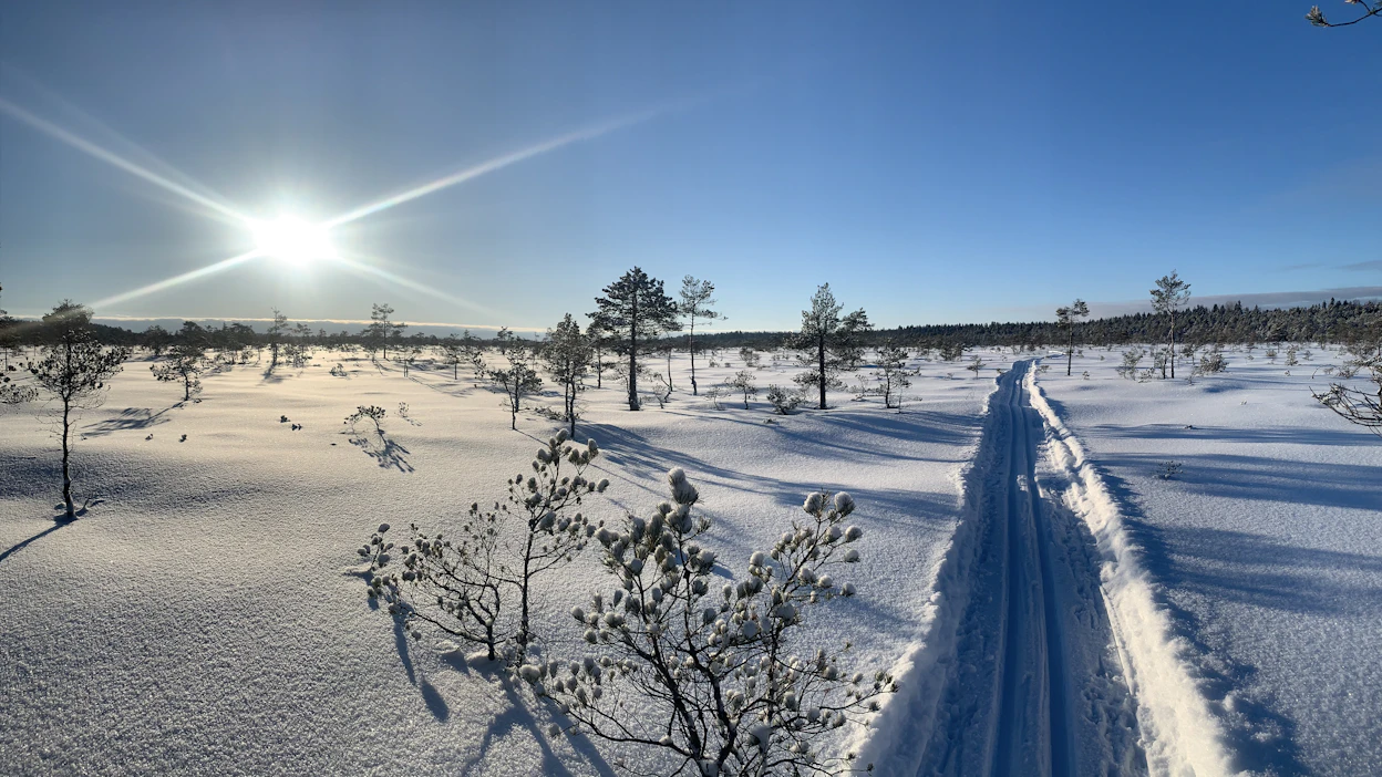 Syvää lunta etsivän on tänä talvena ollut pakko mennä Lappiin, sillä Sodankylän eteläpuolella ei puolen metrin lumiraja ole toistaiseksi rikkoontunut.