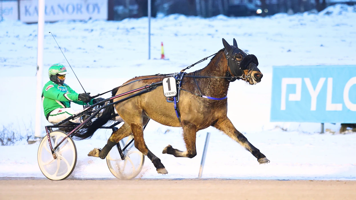 Tatu (Tutuari) on startannut urallaan 37 kertaa totosjoin 6-4-5. Rahaa ruuna on tienannut ennen lauantaita lähes 27 000 euroa.